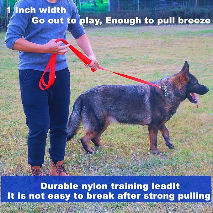 Siumouhoi Strong Durable Nylon Dog Training Leash, 1 Inch Wide Traction Rope, 6 ft 10ft 15ft Long, for Small and Medium Dog (Purple, 15 Feet)