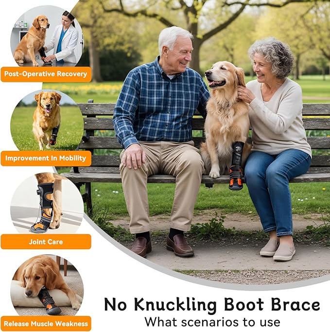 YAQUHO No Knuckling Brace for Dogs - Drop Foot Support with Adjustable Reel, Corrective Outdoor Pet Shoes - Helps Lift Toes for Nerve Conditions, Arthritis & Mobility Issues (L)