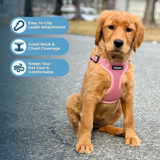 Best Pet Supplies Voyager Mesh Dog Breathable Harness Reflective Stitching, All Weather Adjustable for Walking Training, or Running - Heavy Duty & Durable, Harness Leash Set (Pink), S