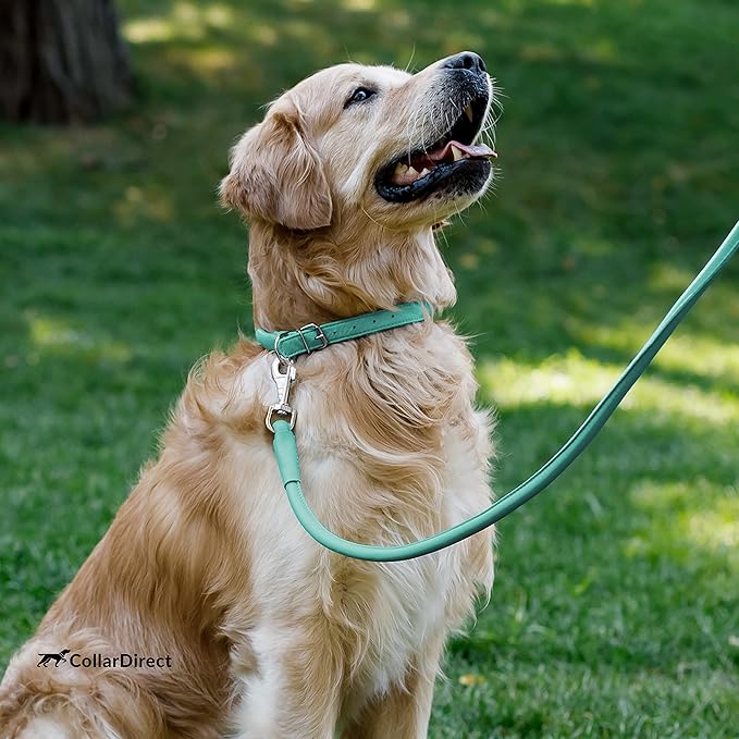 CollarDirect Rolled Leather Dog Collar, Soft Padded Round Puppy Collar, Handmade Genuine Leather Collar Dog Small Large Cat Collars 13 Colors (6-7 Inch, Mint Green Textured)