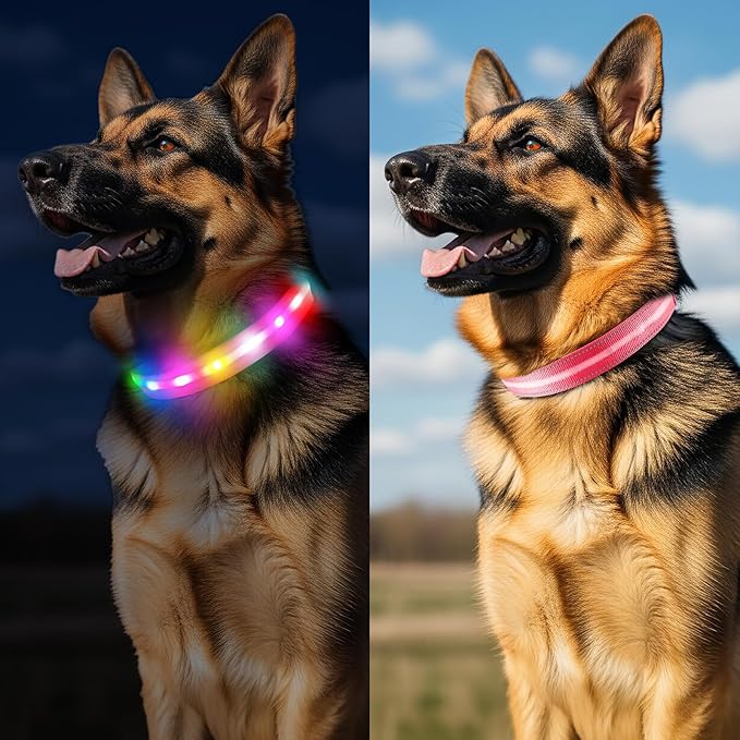 Fiveda Light Up Dog Collar, USB Rechargeable 6 Modes, Waterproof Charging Port, Long Lasting LED Collar - Adjustable Nylon Reflective for Dogs, Sizes S/M/L (7/9/11 Lights) -Pink, S