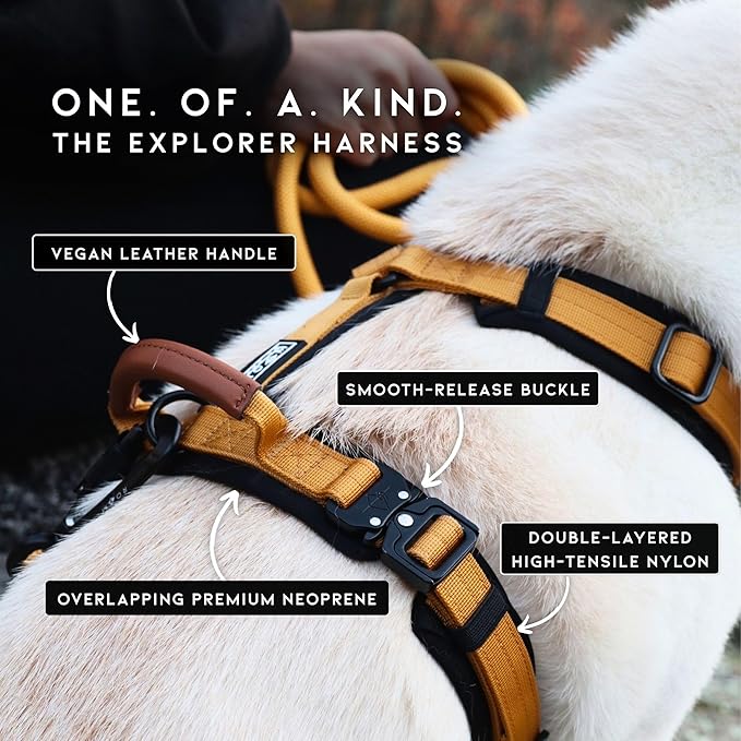 MADE TO ROAM Premium Explorer Harness - Y-Shaped Dog Harness with Adjustable Durable Nylon, Soft Padding, Metal Buckles and Leather Handle for Small, Medium, Large Dogs (Vermont Weekends, Size 7)