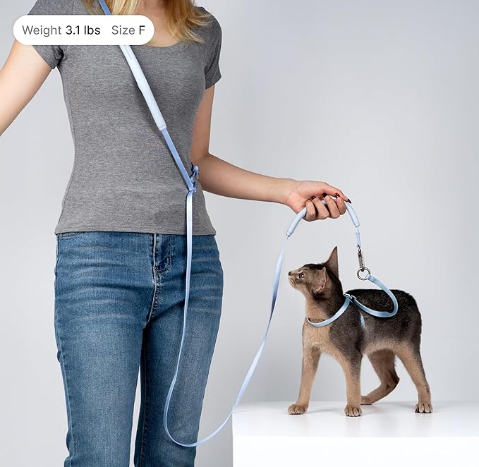Cat Harness and Leash Set, Escape Proof Cat Harness Lightweight Leash with Padded Handle Adjustable Leash Harness for Kitten>4lbs Small Large Cats Walking Training (Vivid Red, M)