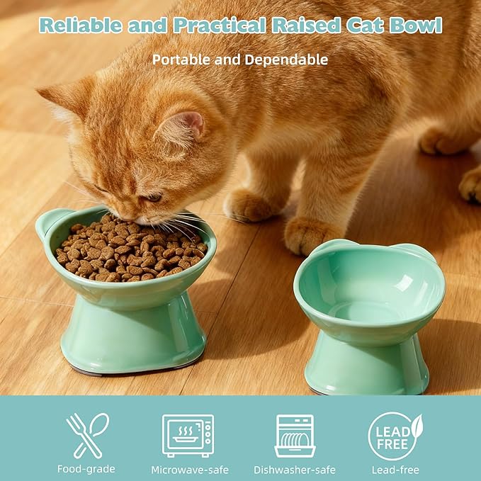 KSIA Klear Elevated Cat Bowls 2 Pack, Tilted Raised Cat Bowl for Food and Water, 4.72" Wide, Whisker Friendly Anti Vomit for Indoor Cats, Microwave and Dishwasher Safe, Green