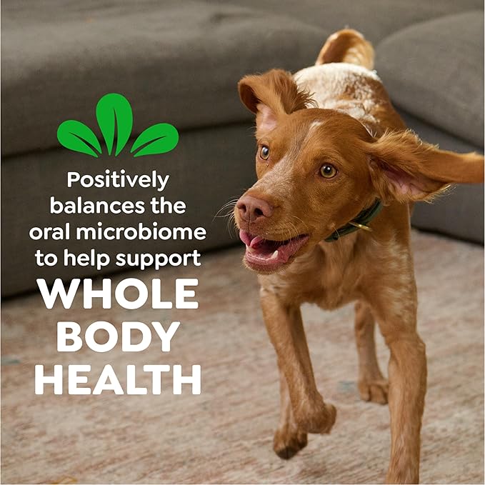 Greenies Veterinarian-Recommended Adult Natural Dental Dog Treats Regular Size, Original Flavor, 27 oz. Pack, 27 Count