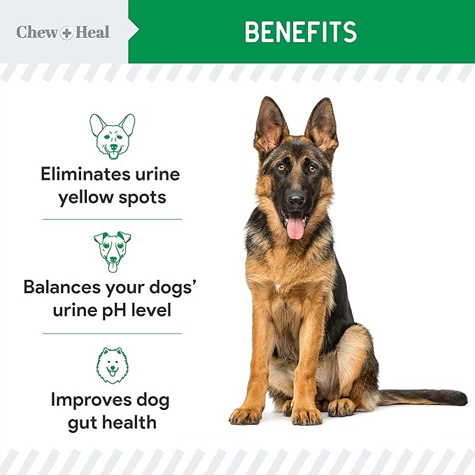 Dog Urine Neutralizer for Lawn, 120 Soft Chews - Green Grass Saver - Eliminates Burns and Yellow Spots - Female and Male Dog Pee Grass Repair with Natural Ingredients