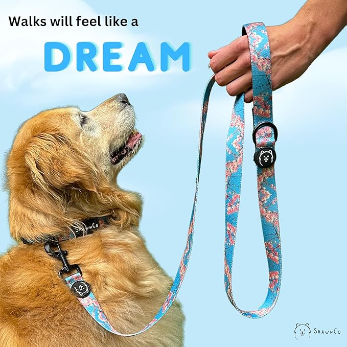 ShawnCo Dream Walk Dog Leash- Premium, Nylon Pet Leash with Soft Neoprene Handle for Small, Medium and Large Dogs (Rose Gold, Small)