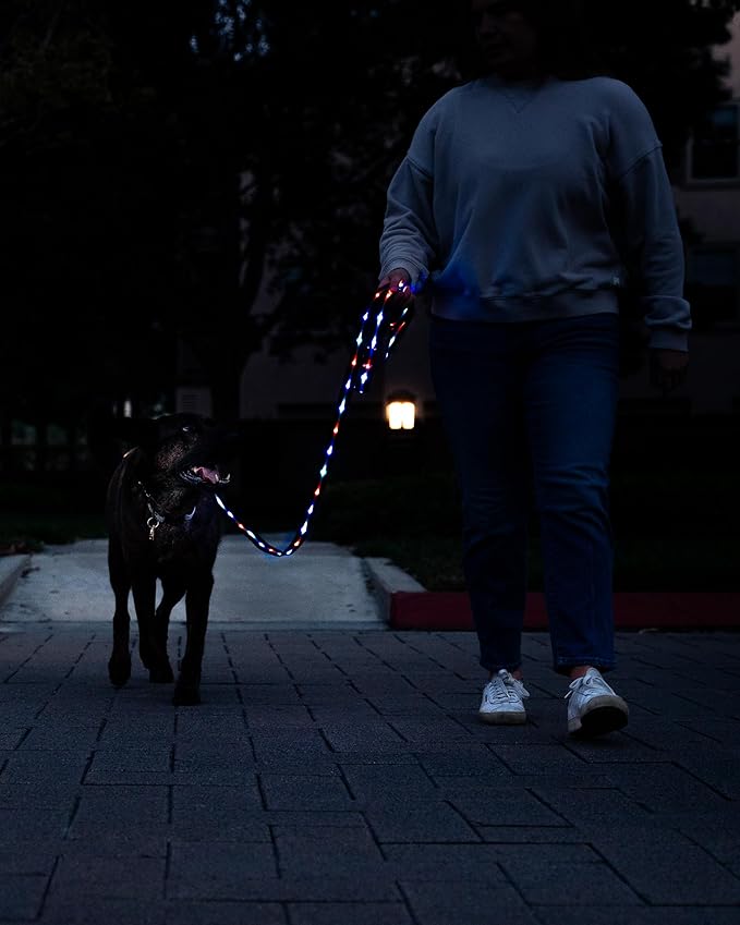 Luminoid LED Dog Leash | 6 ft | USB Rechargeable | 12 Multi-Color Animated Effects | Ultra-Bright LEDs Light-up Leash Keeps You & Dog Safe - by Glowy Zoey