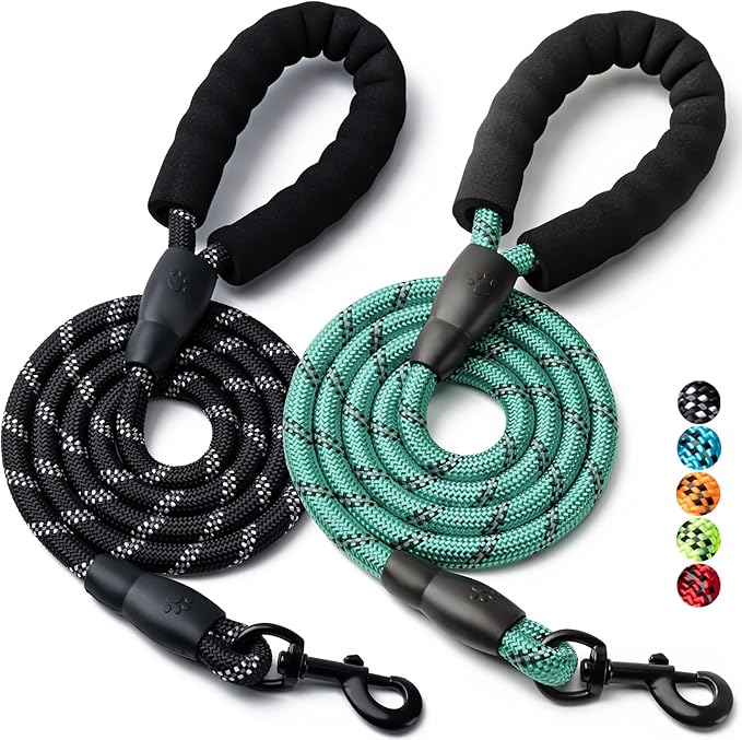 2 Pack Dog Leash, 4/5//6 FT Heavy Duty Nylon Rope Pet Leashes with Comfortable Padded Handle, Reflective Dog Leashes for Small Medium and Large Dogs (5FT-3/8,Black/Turquoise)