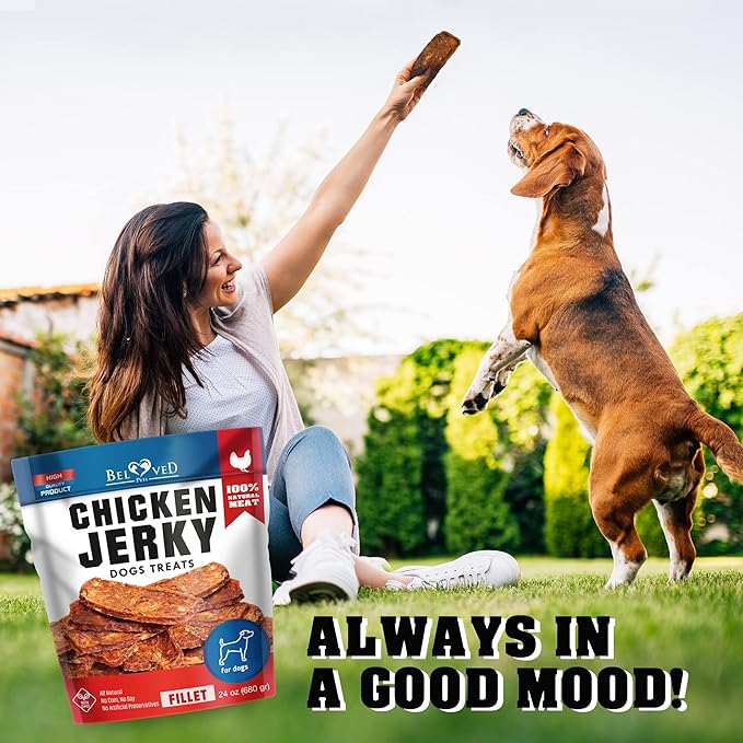 Chicken Jerky Dog Treats Human Grade - High Protein Meat - All Natural High Protein Dried Strips - Best Chews Sweet Potato for Training Small & Large Dogs - Made for USA 24 Oz. (Chicken Fillet)