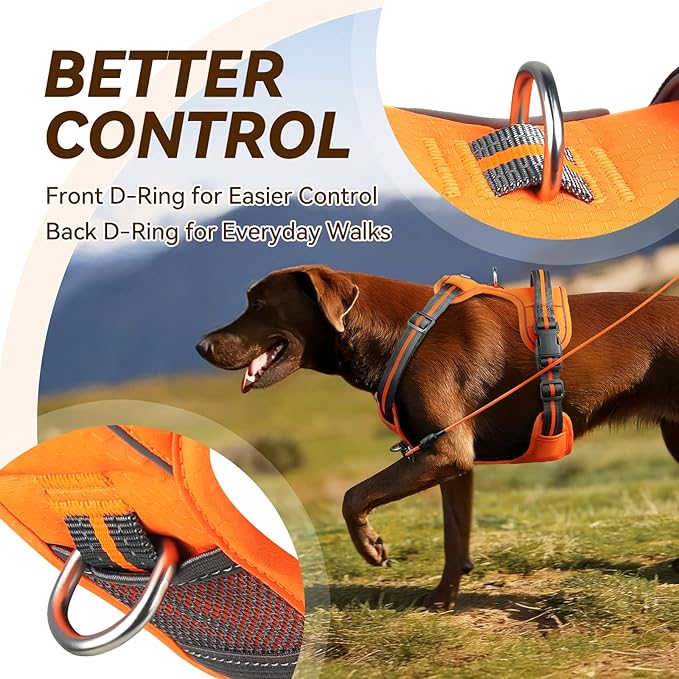 VIVAGLORY Dog Harness Easewalk No Pull Dog Harness with Handle & Front Back Clip for Training Lifting, Easy On Adjustable Padded No Pull for Pet & Puppy, XL, Orange