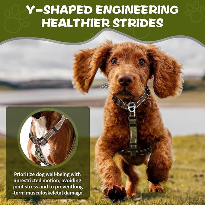 Dog Harness,Adjustable No Pull Dog Harness,Y-Shaped Design,Buckle-Neck Balance Harness with Reflective, Ideal for Dog Training Hiking, Easy Walk Harness,Durable High-Tensile Nylon Blown-M