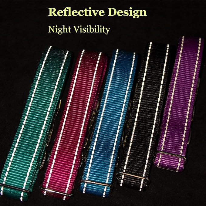 Reflective Dog Collar with Metal Buckle, Heavy Duty Nylon Dog Collars with Metal Quick Release Buckle and D Ring Adjustable for Small Medium Large Dogs or Cats Night Walking (Teal, Large)