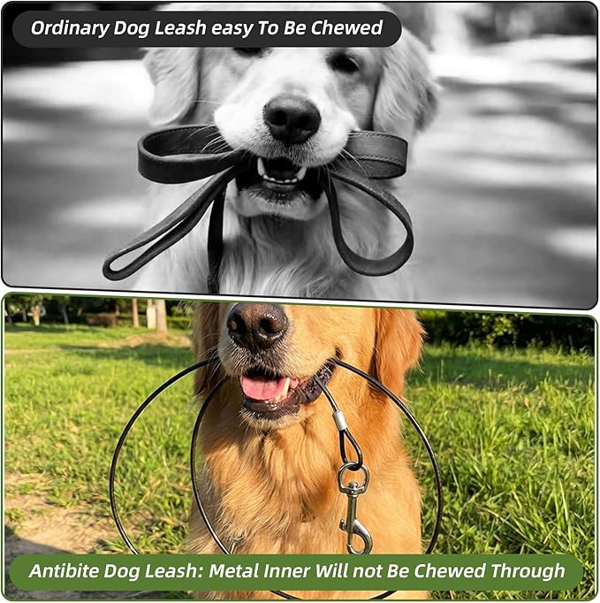 2PCS Chew Proof Dog Leash, Short Dog Leash Double Clip Dog Collar Extender Black Durable Dog Tether for Car Safety for Collars & Harnesses(23.62inch/60cm)