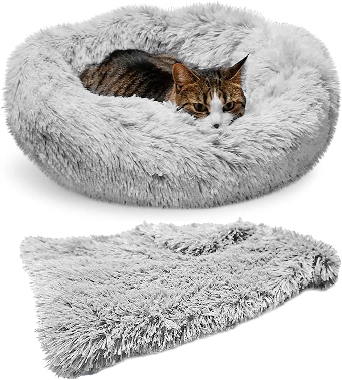 Whiskers & Friends Cat Bed, Cat Beds for Indoor Cats Washable, Orthopedic Soft Fluffy Round Calming Pet Bed for Small to Large Kitty Kittens & Dogs, Small Dog Beds & Furniture - with Blanket
