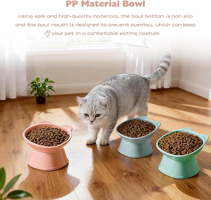 KSIA Klear Elevated Cat Bowls 2 Pack, Tilted Raised Cat Bowl for Food and Water, 4.72" Wide, Whisker Friendly Anti Vomit for Indoor Cats, Microwave and Dishwasher Safe, Green