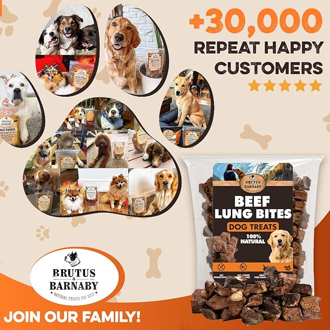 BRUTUS & BARNABY Beef Lung Bites for Dogs - 100% Single Ingredient Dog Treat Made in USA - Protein Packed, Crunchy, Healthy Dog Treats - Grain Free, Rawhide Free, No Additives