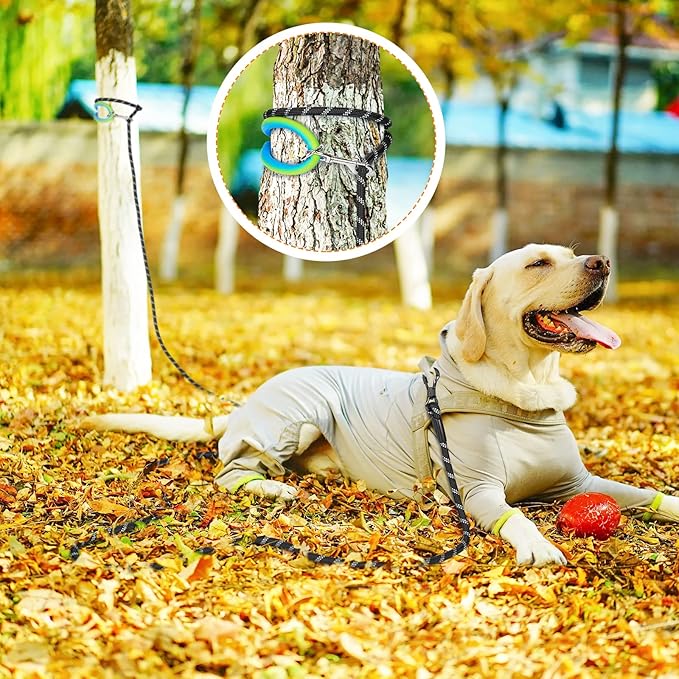 Long Dog Leash for Dog Training 10FT/15FT/20FT/30FT/40FT/50FT/100FT Reflective Leash with 2 Hooks, Heavy Duty Dog Lead for Large Medium Small Dogs Outside Walking Camping Yard,Teal 20FT
