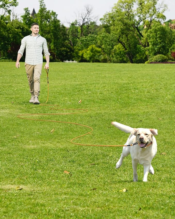Joytale Long Leash for Dog with Removable Padded Handle, Heavy Duty Lead for Large Medium Dogs,15FT/30FT/50FT/65FT Reflective Training Leash for Play, Camping, Backyard Tie Out, Orange, 50FT