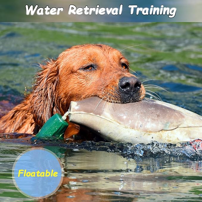 fingig 2 Pcs Duck Dummy Bumper Toys for Hunting Retriever Dog Training, Dog Retriever Outdoor Training Toy ，Hunting Duck Recognition Trainers, Foam Pet Interactive Toys