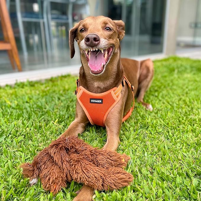 Best Pet Supplies Voyager Mesh Dog Breathable Harness Reflective Stitching, All Weather Adjustable for Walking Training, or Running - Heavy Duty & Durable, Harness Leash Set (Orange), M