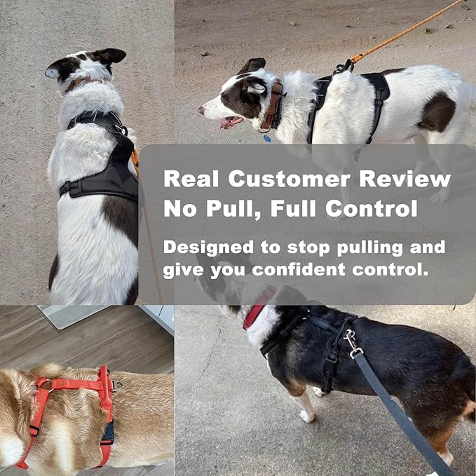 No Pull Dog Harness for Medium Dogs, Adjustable, Reflective Breathable Padded Vest with 2 Metal Leash Clips and Handle for Control or Car Seatbelt Use, Red, M