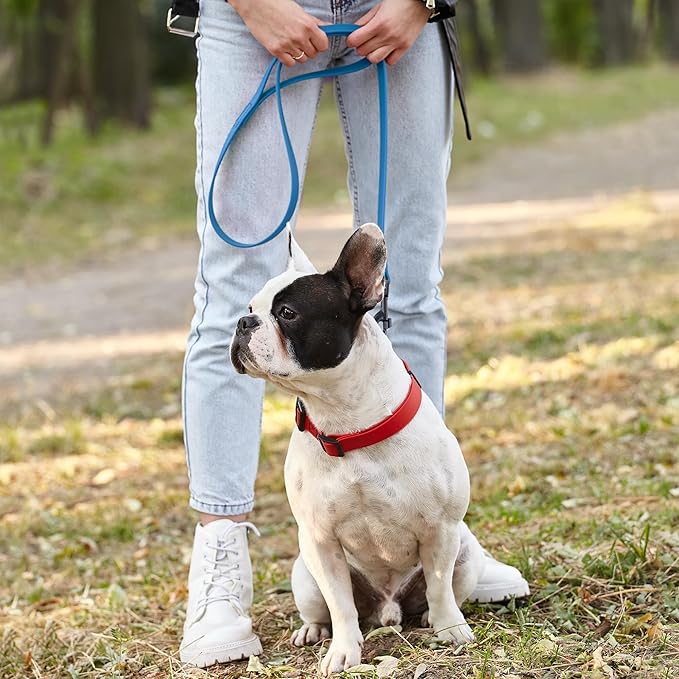 Dogline Biothane Waterproof Dog Leash 2/4/6 Ft Strong Coated Nylon Webbing with Black Hardware Odor-Proof Easy to Clean High Performance for Small or Large Dogs Made in USA, Cerulean Blue
