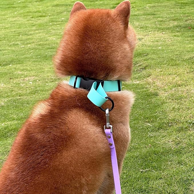 Dog Training Long Leash Waterproof Long Line Heavy Duty Outdoor Recall Lead 10ft 15ft 20ft 30ft 50ft for Small Medium Large Dog (Light Purple, 30FT)