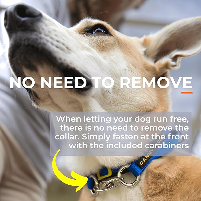 Canny Collar No-Pull Dog Head Collar | Train Your Dog to Stop Pulling & Walk On a Loose Leash | Gentle, Safe, Comfortable Training Aid | Small Dogs | Blue, Size 2
