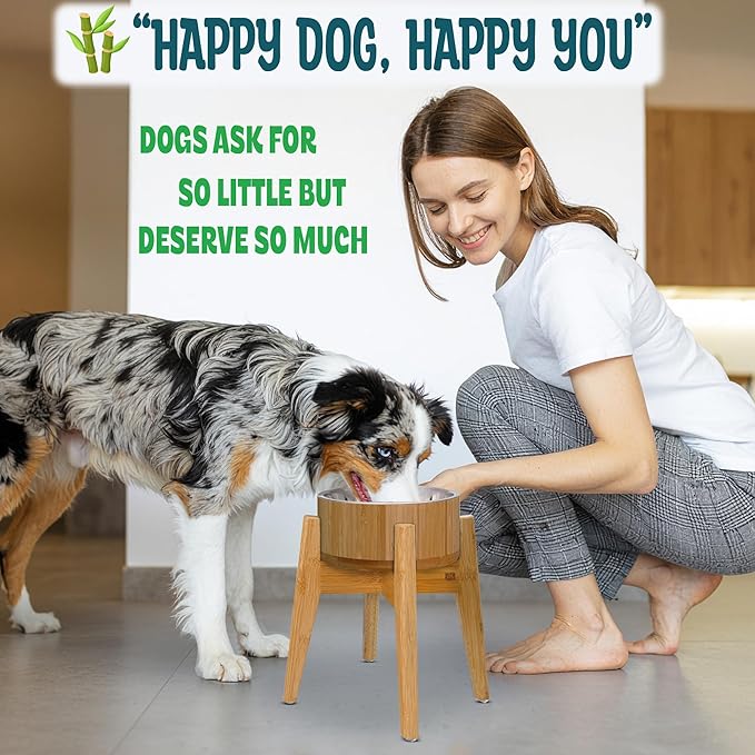 Raised Dog Bowl - Elevated 12-inch, Large Breeds Treats, Dry and Wet Foods Suitable - Deter Ants/Bugs, Resist Tip-Over - Bamboo/Steel Bowls