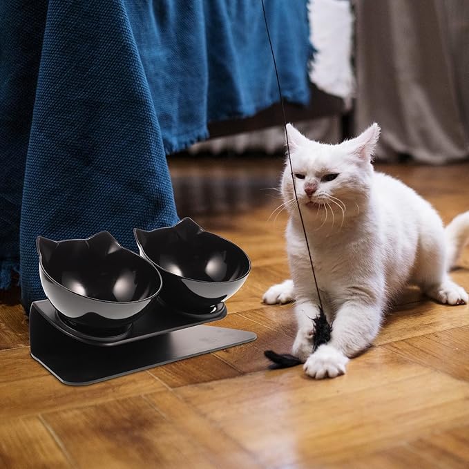 BESPORTBLE Double Raised Dog Feeder Bowl with 15° Neck Guard, Black Plastic Dual Pet Feeding Bowls for Cats and Dogs, Elevated Water and Food Dish for Home Use