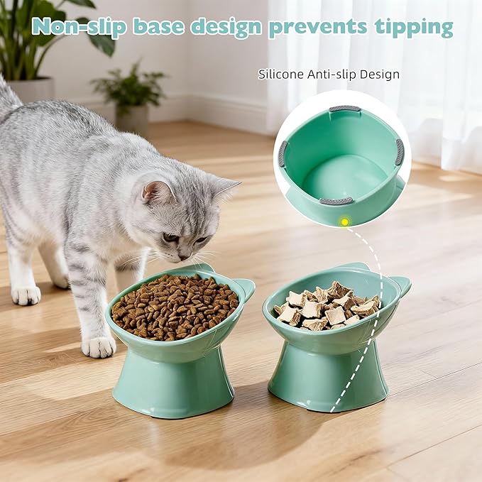 KSIA Klear Elevated Cat Bowls 2 Pack, Tilted Raised Cat Bowl for Food and Water, 4.72" Wide, Whisker Friendly Anti Vomit for Indoor Cats, Microwave and Dishwasher Safe, Green