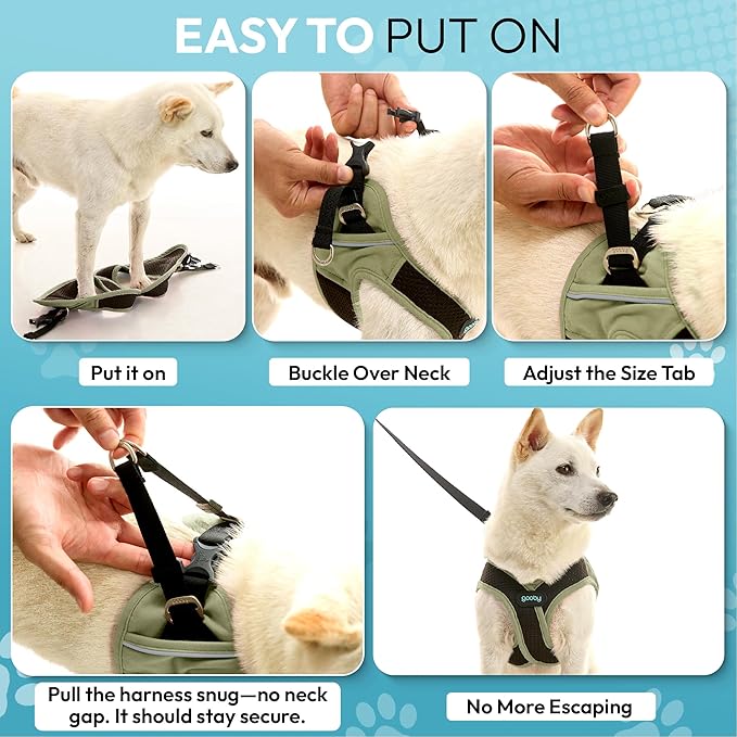 Gooby Escape Free Easy Fit X Step in Dog Harness - Portland Green, Small
