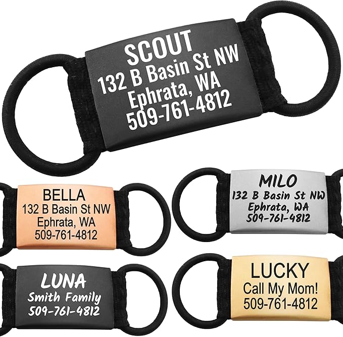 GoTags Silent Personalized Engraved Pet ID Dog and Cat Tags, Jingle Free Quiet Custom Name Tags (Silver, Small)