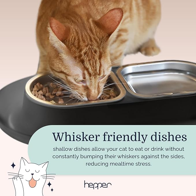 Hepper NomNom - Spill Proof Elevated Cat Bowls for Food and Water - Whisker Relief Bowl + Raised Cat Food Bowls: a Safe Dish for Messy Cats - Stainless Steel Cat Bowl Station