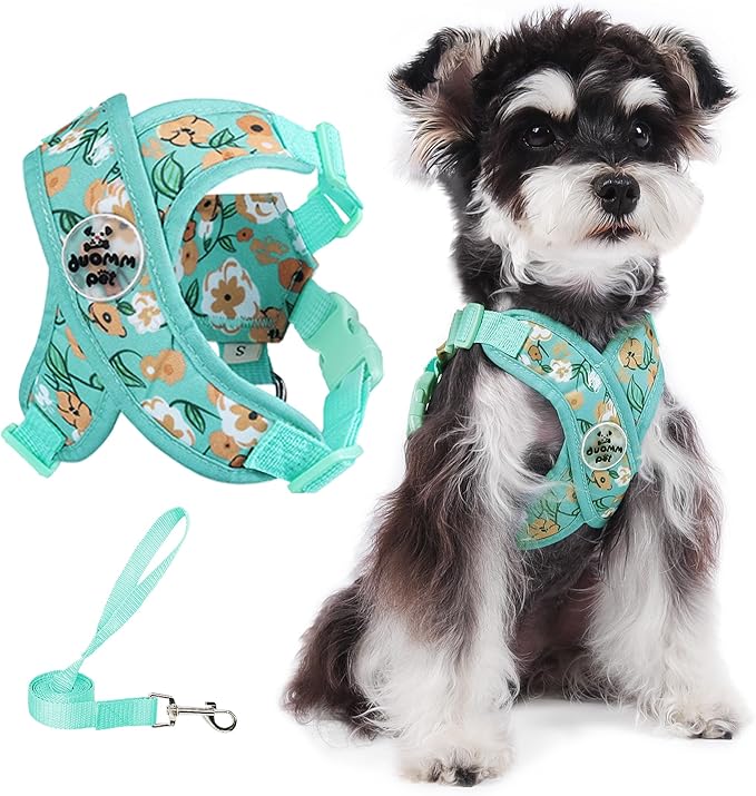 Patas Lague Dog Harness with Leash Set Adjustable Soft Padded Step-in Dog Vest No Choke No Pull Reflective for Small Pets with Poop Bags and Dispenser, Solid and No-chew, Floral Green XS