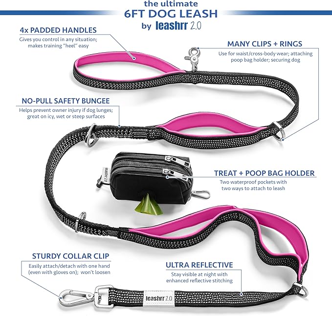No Pull Dog Leash for Large Dogs – 6ft Highly Reflective Bungee, Heavy Duty Leash for Large Dogs, 4 Padded Handles, Strong Carabiner Clip & Rings, Includes Poop Bag Holder & Treat Pouch (Teal)