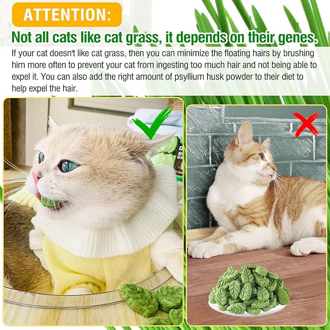 SYWUAII 50g/1.76oz Cat Grass Treats, Cat Grass Teething Stick for Hairball Remove and Teeth Cleaning, Edible Cats Grass Stick Snack