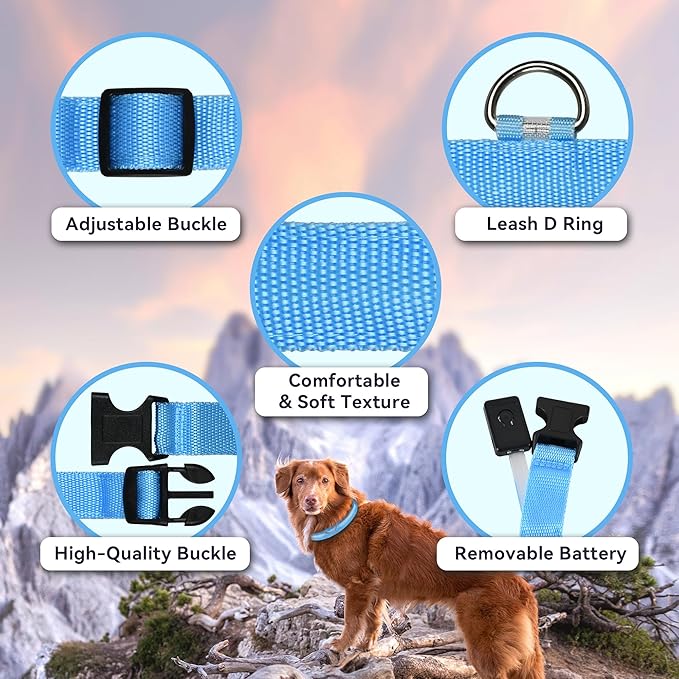 LED Light Up Dog Collar Rechargeable Waterproof, Glow in Dark Dog Collar, Lighted Dog Collars for Night Walking Charging USB, Safety for Small Medium Large Dogs (S, Blue)