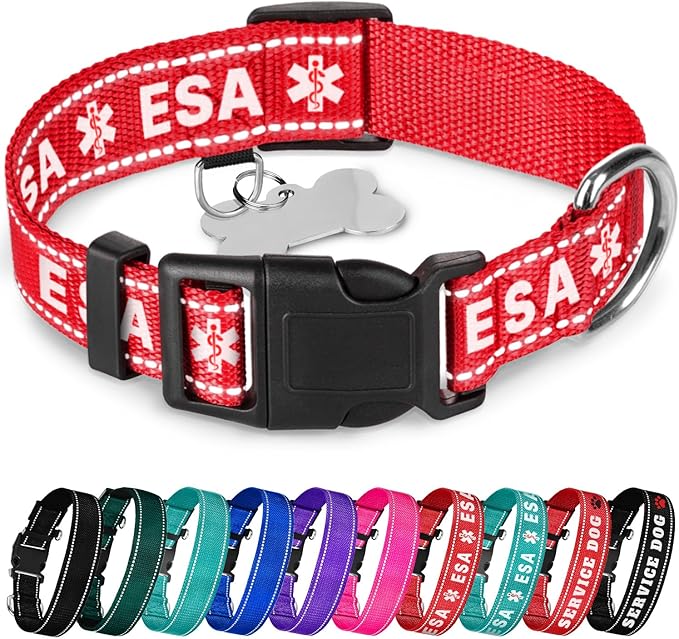 TECEUM Reflective Pet Collar – Red - ESA – L – Basic Nylon Dog Collar – Quick Release Buckle – Fits Small, Medium and Large Dogs, Puppies, Cats – ESA & Service Dog Options