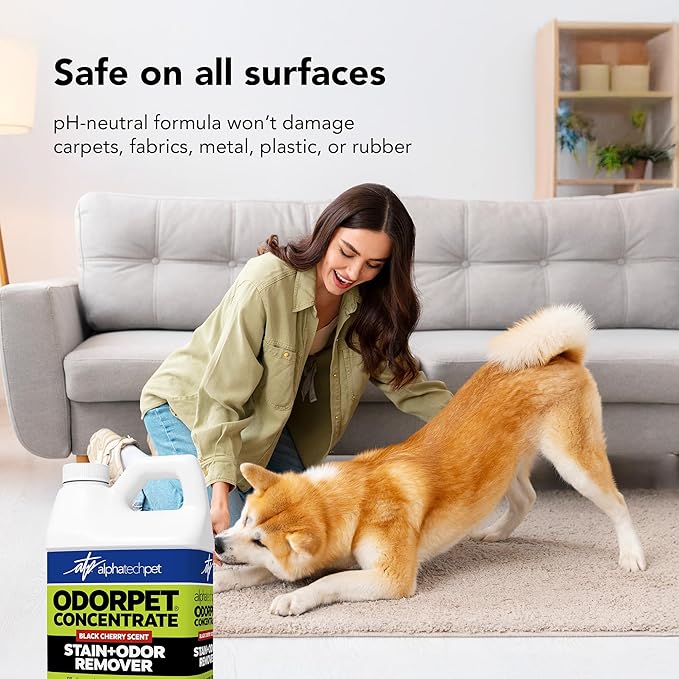 OdorPet Pet Stain Remover and Odor Eliminator - 64 Oz (Makes 2.55 Gallons of Working Solution) Non Staining, Professional Strength, Black Cherry Scent by Alpha Tech Pet