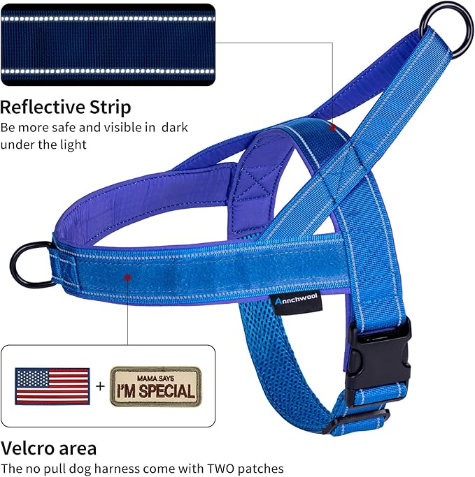 Annchwool No Pull Dog Harness with Padded Handle+5 Ft Leash,Reflective Strip Escape Proof and Quick Fit to Adjust Dog Harness,Easy for Training Walking for Small & Medium and Large Dogs(Blue-Set,L)