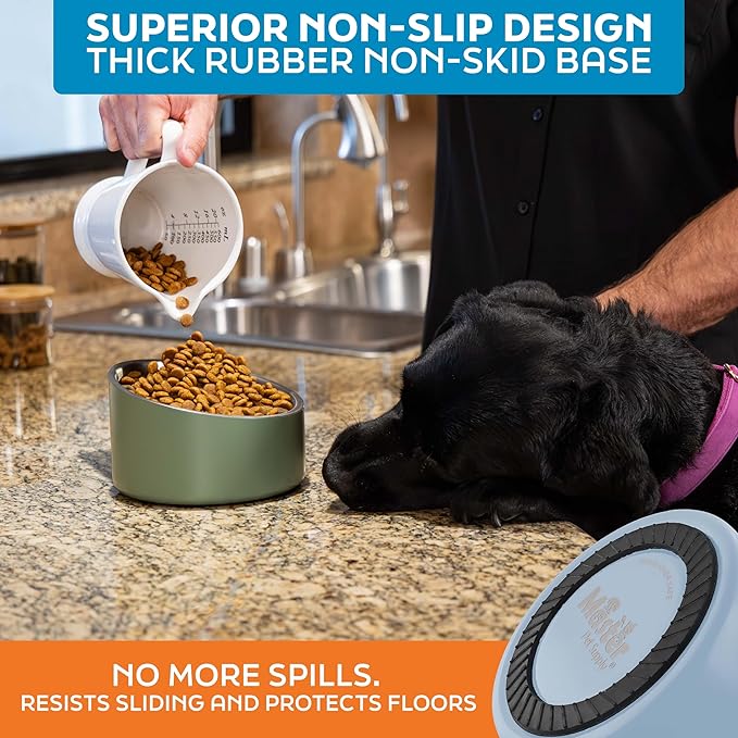 Master Pet Supply Stainless Steel Slanted Dog Cat Food Bowl - 24 oz Heavy Duty - Glacier Blue, Double Wall Insulated, Non-Slip Elevated Bowl for French Bulldogs Pugs Cats, Anti Rust Dishwasher Safe