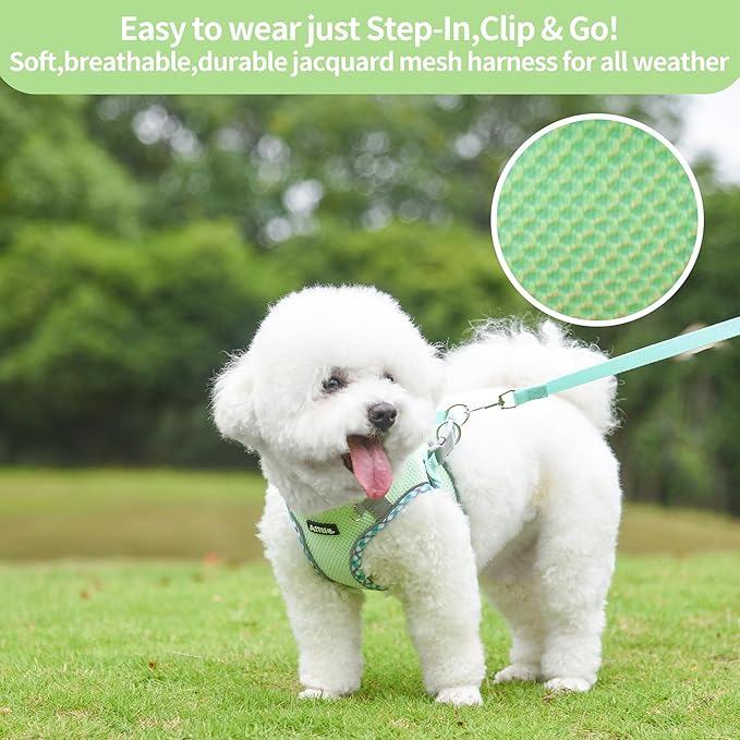 AIITLE Tiny Dog Harness - Lightweight Mesh Step-in Vest for Puppy, Reflective & Escape-Proof Design with High-Stick Magic Tape - Indoor/Outdoor Use for Chihuahua, Maltese, Shih Tzu(Sage, XXXS)