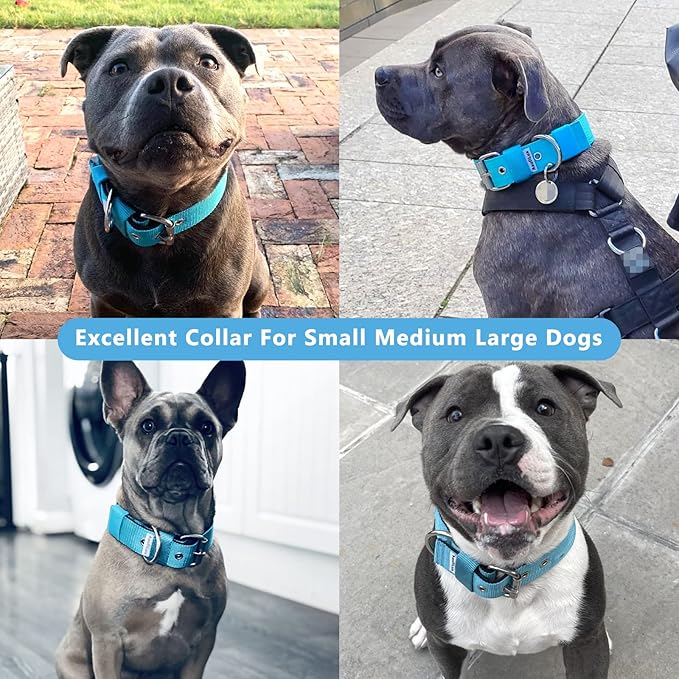 Heavy Duty Tactical Dog Collar - 1.5" Width Military Durable Thick Nylon with Adjustable Metal D Ring & Buckle Working Training K9 Collar for Medium Large Dogs (M(17"-20"), Light Blue)