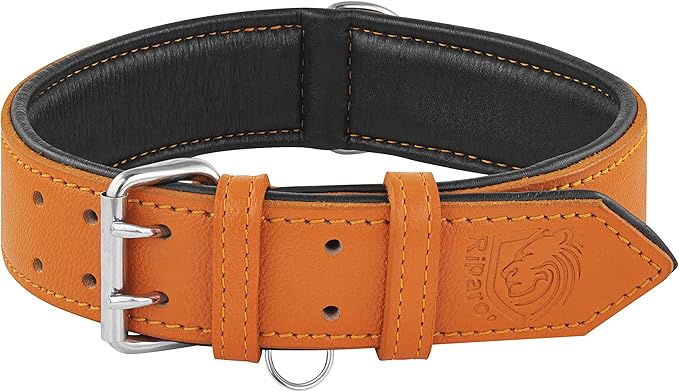 Riparo Leather Dog Collar, Large Dog Collar, Padded Heavy Duty Dog Collar with Dog Tag Holder, Orange Dog Collar (XL, Orange)
