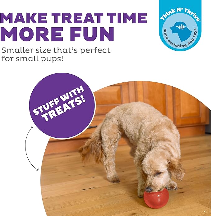 Outward Hound Lil' Snoop Interactive Treat Dispensing Dog Toy, Puzzle Ball Slow Feeder for Small to Medium Dogs, Mint-Scented for Mental Stimulation & Boredom Relief, BPA-Free, 3.9-Inch, Red