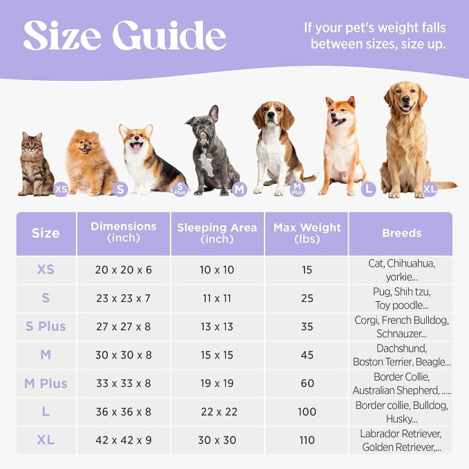 LE SURE Small Dog and Cat Bed - Round Calming Beds as Present for Pets, Cute Modern Design with Jacquard Shaggy Plush, Anti-Slip Bottom, 23 Inch, Green