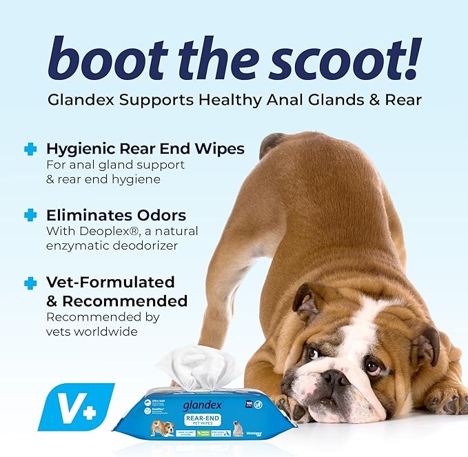 Vetnique Glandex Dog Wipes for Pets Cleansing & Deodorizing Anal Gland Hygienic Dog & Cat Wipes with Vitamin E, Skin Conditioners and Aloe (600ct)
