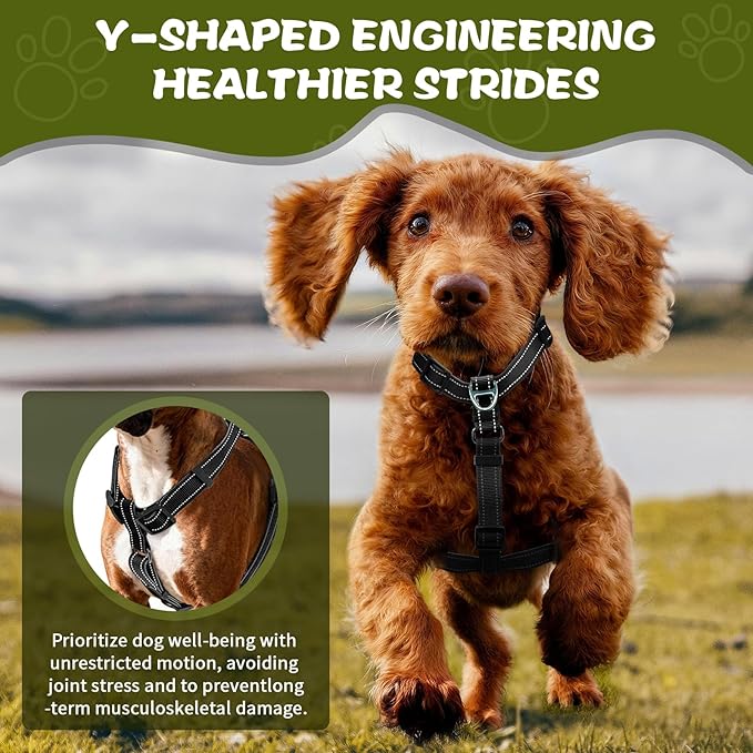 Dog Harness,Adjustable No Pull Dog Harness,Y-Shaped Design,Buckle-Neck Balance Harness with Reflective, Ideal for Dog Training Hiking, Easy Walk Harness,Durable High-Tensile Nylon Black-S